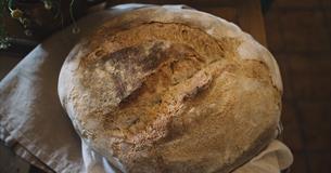 Bread Making Baking Class With Judy Dain