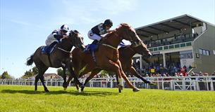 Salisbury Racecourse