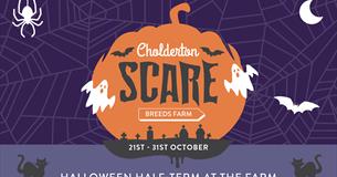 Halloween Half-Term at Cholderton Scare Breeds Farm