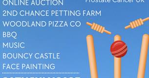 Potterne CC Charity Triangular T20
