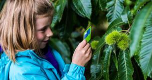 Spectacular Seeds Discovery Day – family event