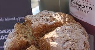 Bread Making Baking Class With Judy Dain