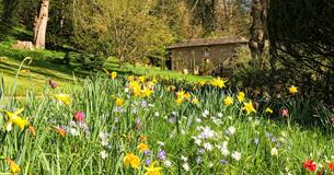 Winter Tour of Iford Manor Gardens with Head Gardener Steve Lannin