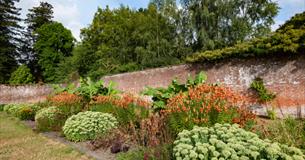 Wider Estate Walks