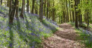 Walks & Talks Guided Tours