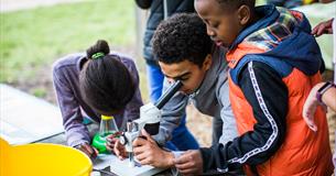 Summer Secrets - Free Family Activity