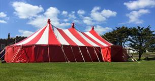Shambles Festival