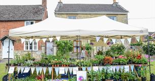 Open Gardens