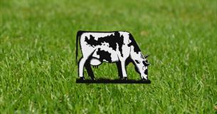 3 Acres + A Cow: Wild Waters Festival