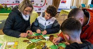 Trees for the Future – family event days