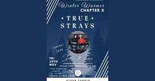 Fieldview Festival Winter Warmer