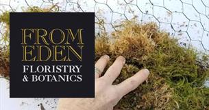 Foam Free Floral Design