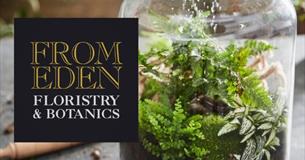 Make Your Own Terrarium