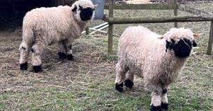 River Bourne Community Farm