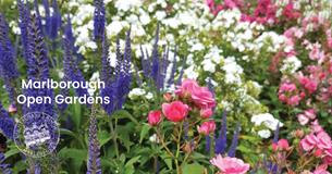 Marlborough Open Gardens
