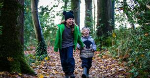 Winter Family Trail - Hidden Westonbirt