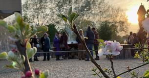 Wild Herb at The Field Kitchen Fire & Feast