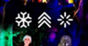 Winter Woodland Lights