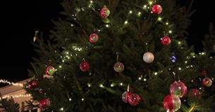 Corsham's Wishing Tree