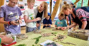 Woodland Webs – family activity days