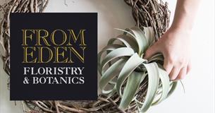 Air Plant Wreath