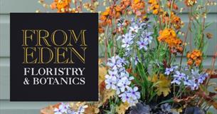 Outdoor Planted Containers