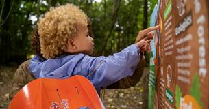 Zog activity trail - Westonbirt Arboretum