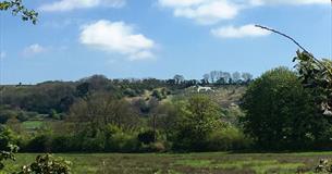 Broad Town White Horse (C) Alison Smith