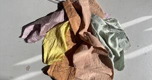 Botanical Dyes Workshop