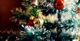 Santa's Little Wonderland