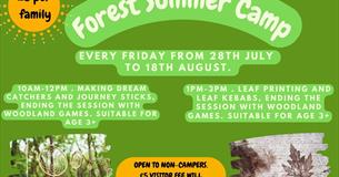 Forest Summer Camp - Dream Catchers and Leaf Painting