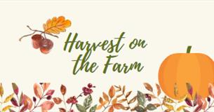 Harvest on the Farm