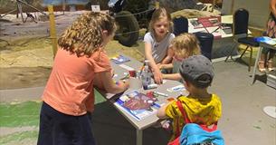 Super Summer Holiday Fun