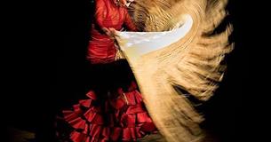 Flamenco Orígenes