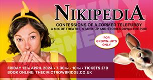 Nikipedia - Confessions of a Former Teletubby