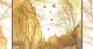 The Power of Imagination: A creative writing workshop for adults