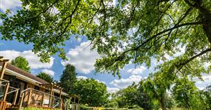 green garden space with wooden decking seating areas