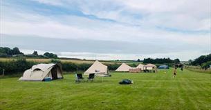 Marshwood Farm Camping