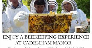 Enjoy a beekeeping experience at Cadenham Manor