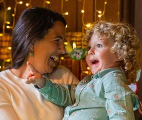 Christmas at Avebury Manor