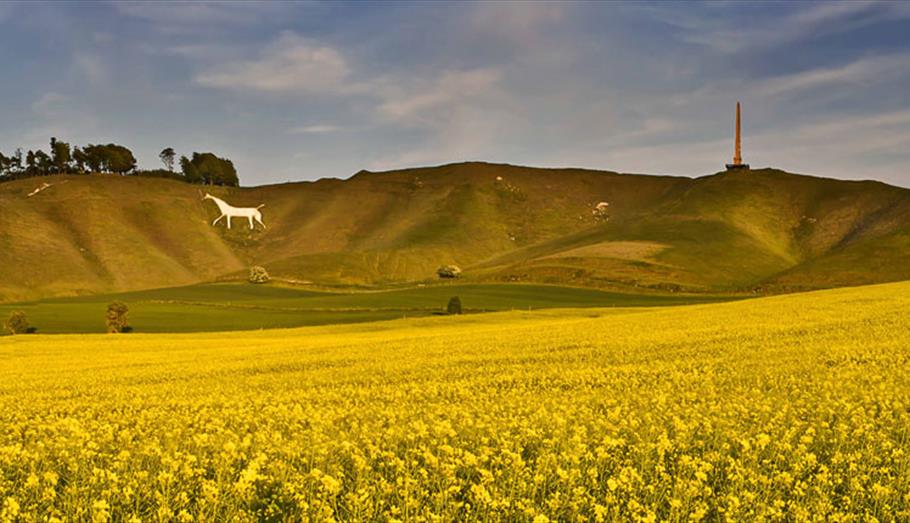 Cherhill White Horse (C) Phil Selby