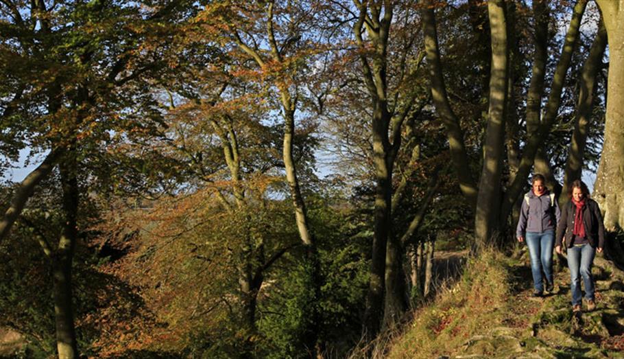 Top 10 Places To Walk in Wiltshire VisitWiltshire.co.uk