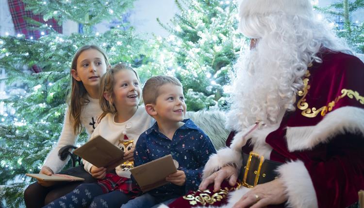 Santa's Little Wonderland