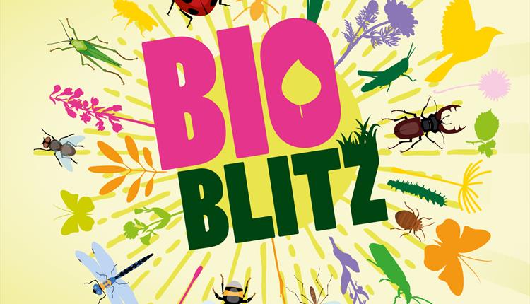 Bioblitz at Westonbirt Arboretum
