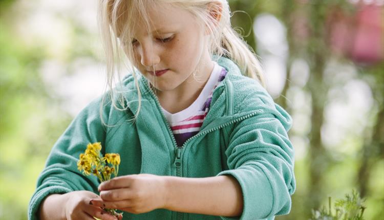 Make a Mother's Day flower posy at Stourhead