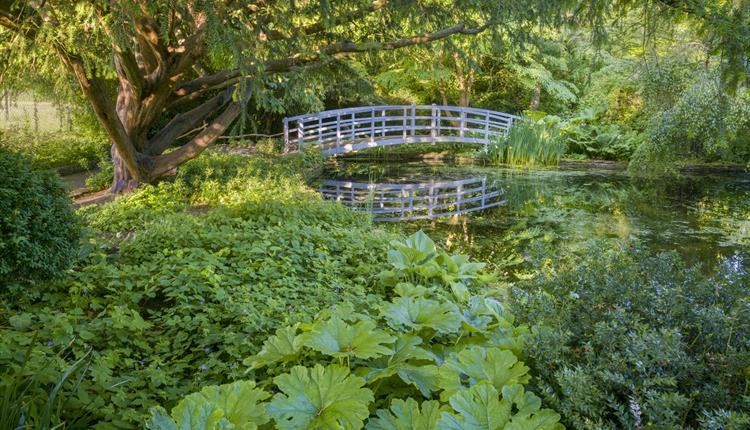 Dye Pool and Bridge - by Andrew Butler