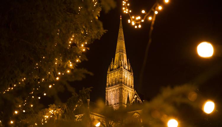 Group Carols at Salisbury Cathedral