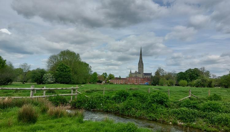 Sketch Salisbury Cathedral from water meadows