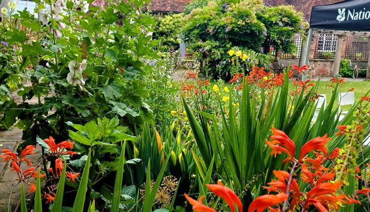 Close Consort – Music in the Garden