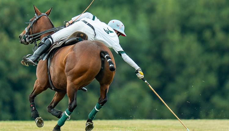Stonehenge Polo Festival